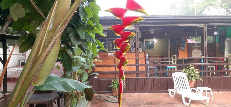 Residencial Noelia Hostel Puerto Iguazú Kültér fotó